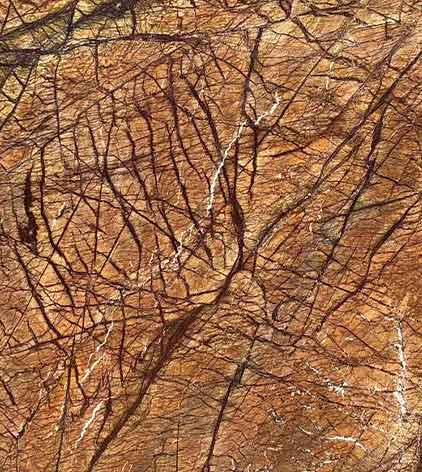 Rain-forest-brown-slab